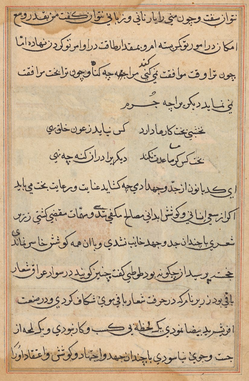 Tuti-Nama (Bir Papağan Masalları) by Unknown artist