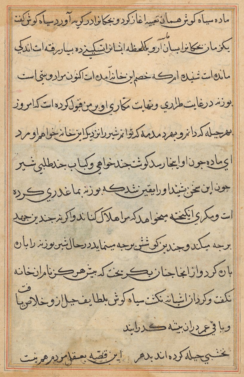 Tuti-Nama (Bir Papağan Masalları) by Unknown artist