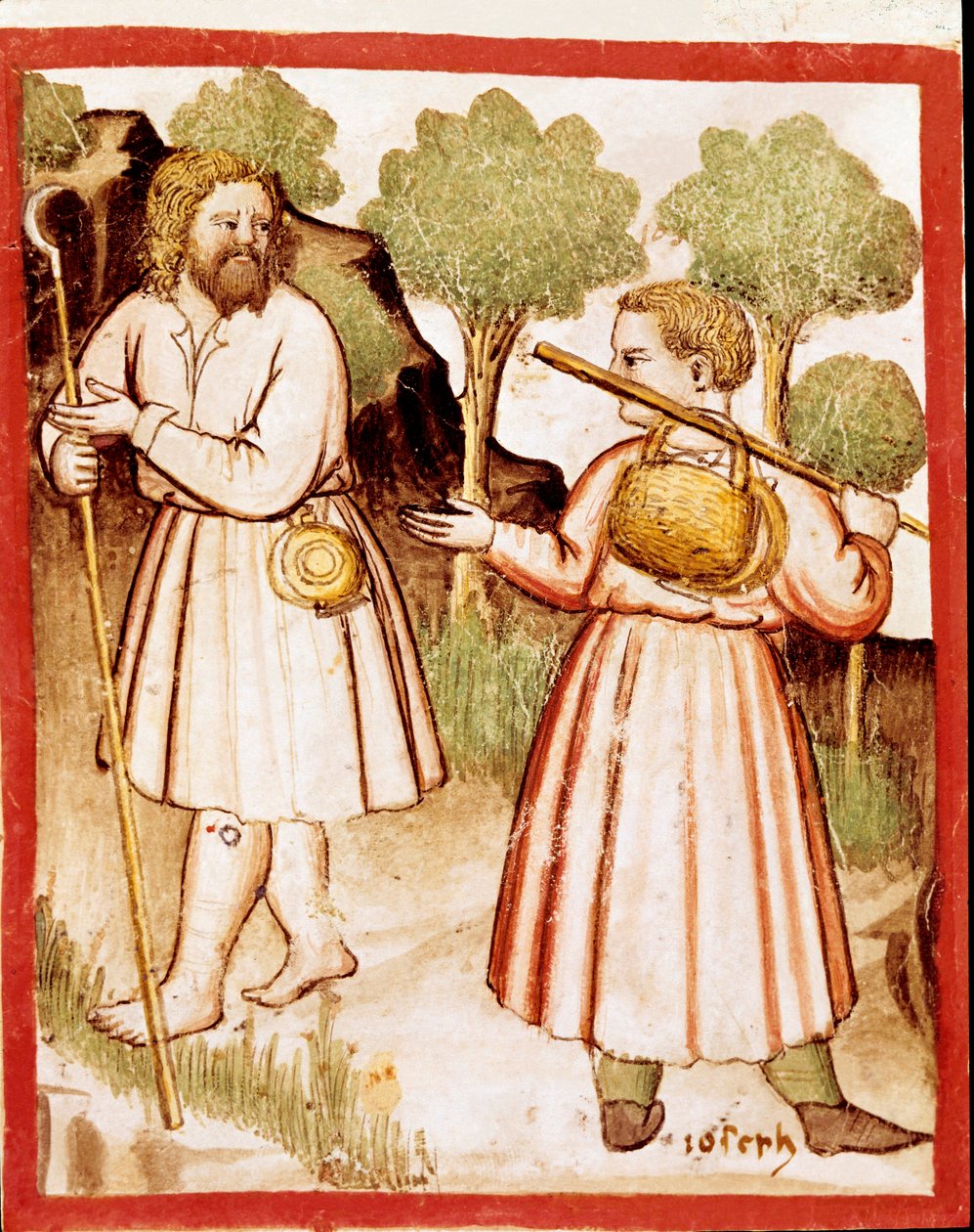 Codex 212