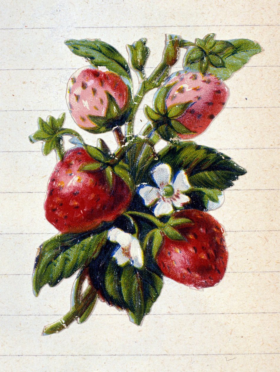 Bilinmeyen resim by Unknown artist