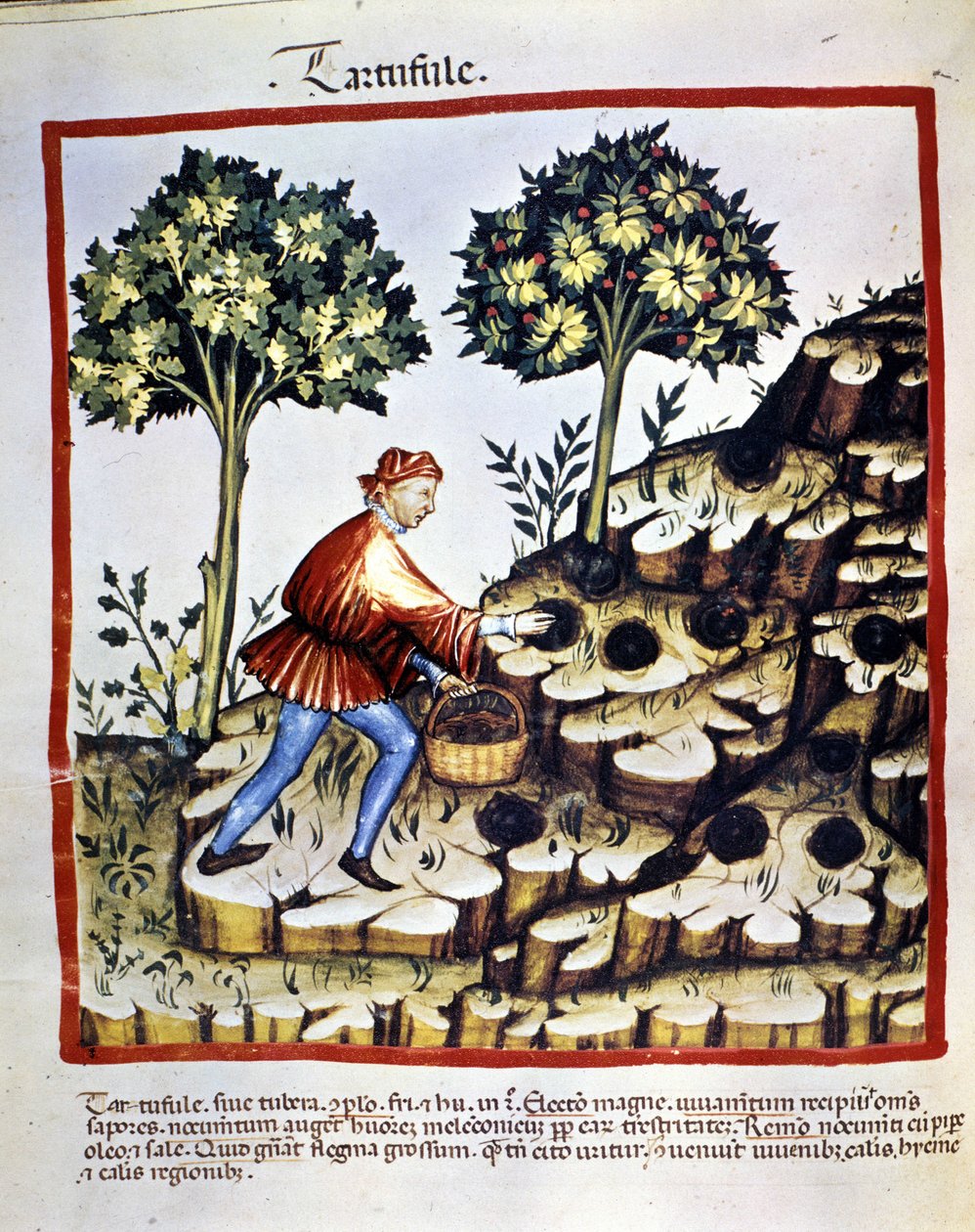 Bilinmeyen resim by Unknown artist
