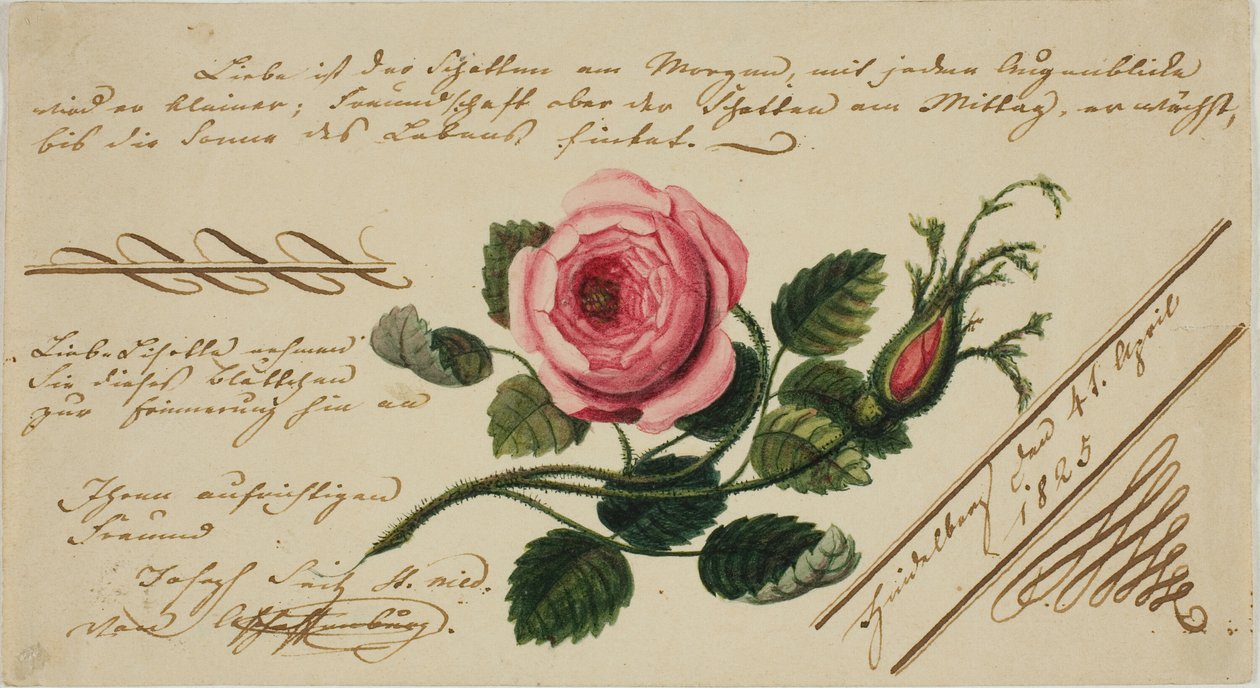 İsimsiz Valentine (Pembe Çiçek) by Unknown artist