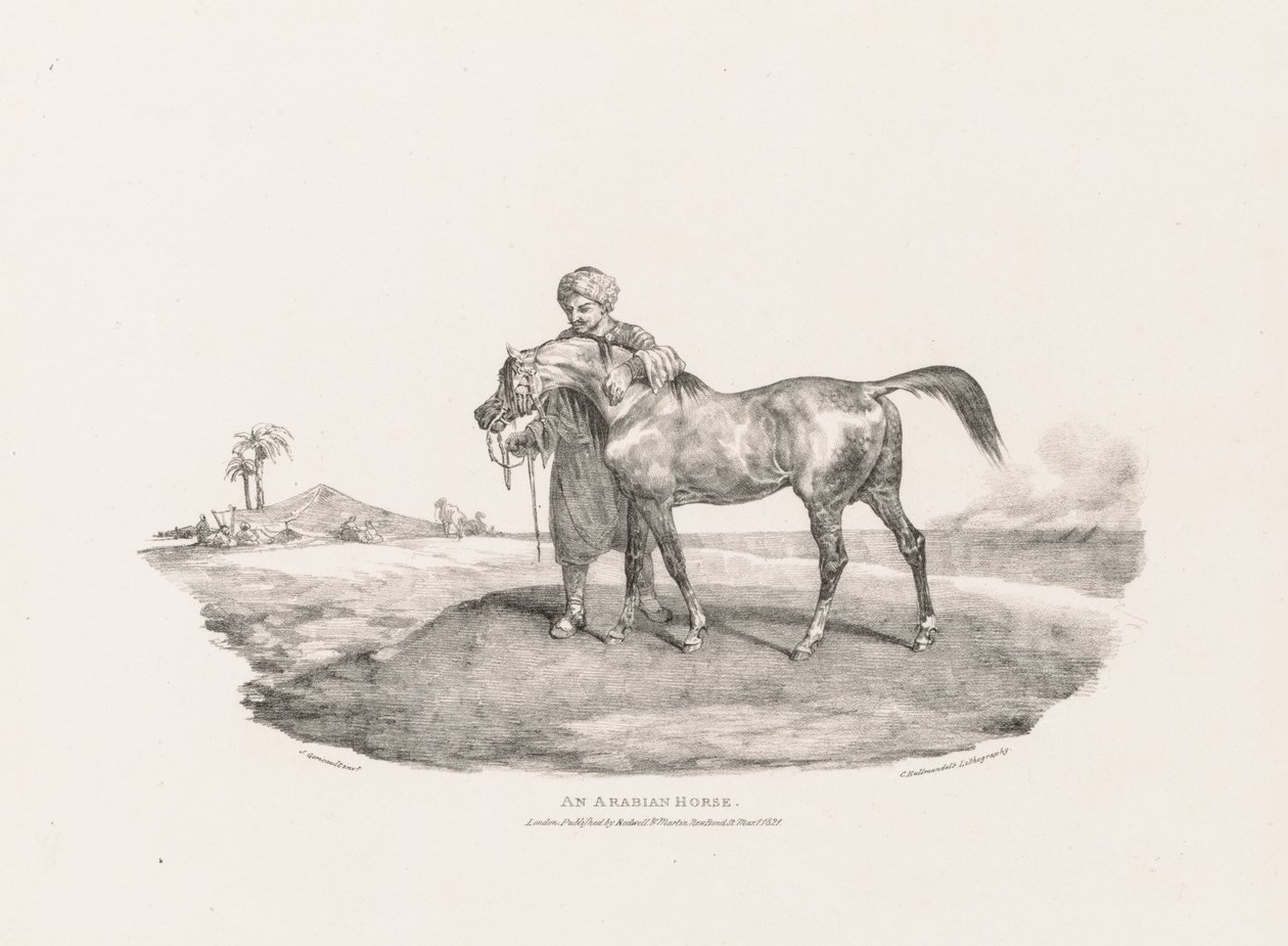 Yaşamdan ve Taştan Çeşitli Konular: Bir Arap Atı by Unknown artist