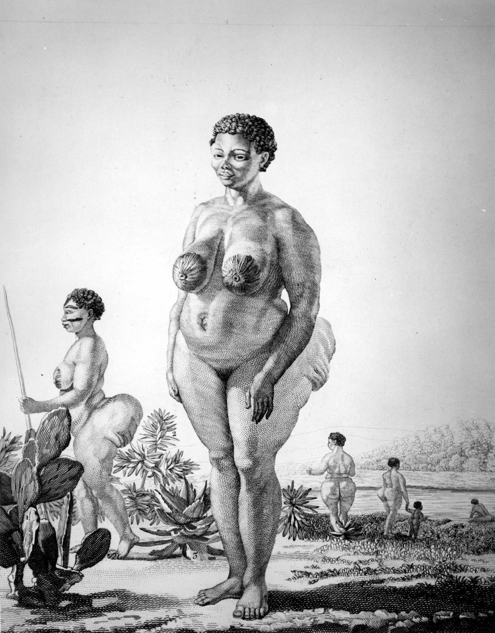 Güney Afrika Venüs Hottentote by Unknown artist