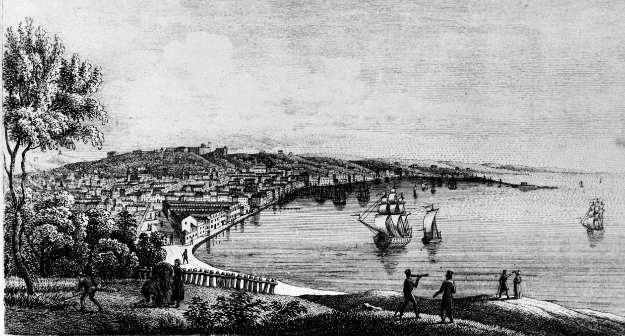 19. yüzyılın gravürü (Avusturya döneminde) Trieste şehrinin limanının görünümü. by Unknown artist