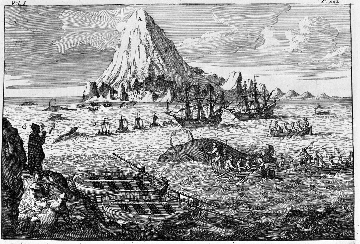 Jan Mayen adasında balina avı. 18. yüzyılın başlarında gravür by Unknown artist