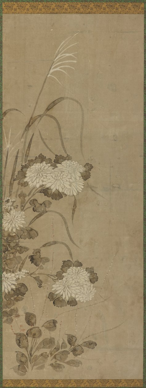 Beyaz krizantemler ve çimenler by Unknown artist