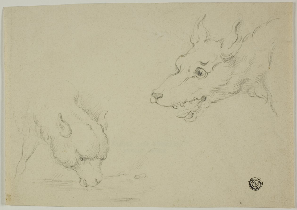 Kurt ve Kuzu by Unknown artist