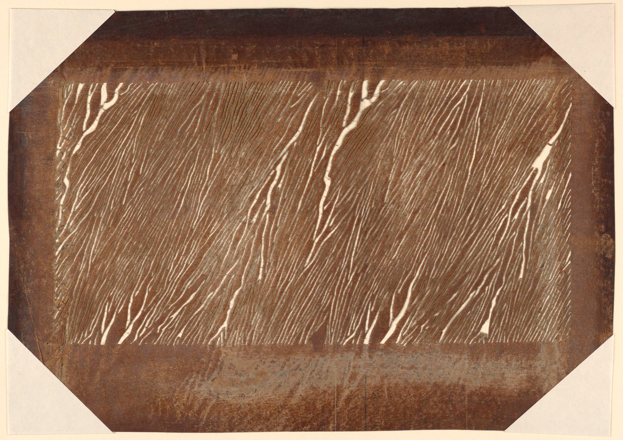 Ahşap Motif by Unknown artist