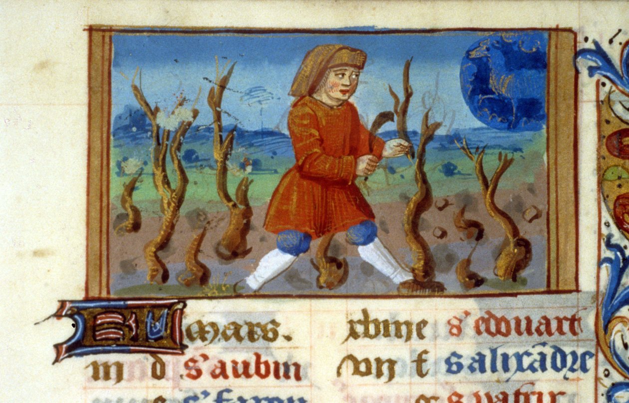 Burç Koç ve ağaç boyutu - Ortaçağ Minyatür (ref. 137, 047r) - Toulouse Belediye Kütüphanesinden izin isteyin (tel: 05 62 27 66 66) by Unknown artist