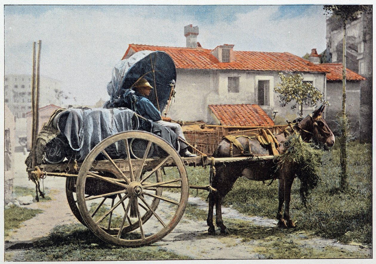 Şarabını taşıyan bir arabacı. Roma, İtalya, 19. yüzyılın sonu. by Unknown photographer