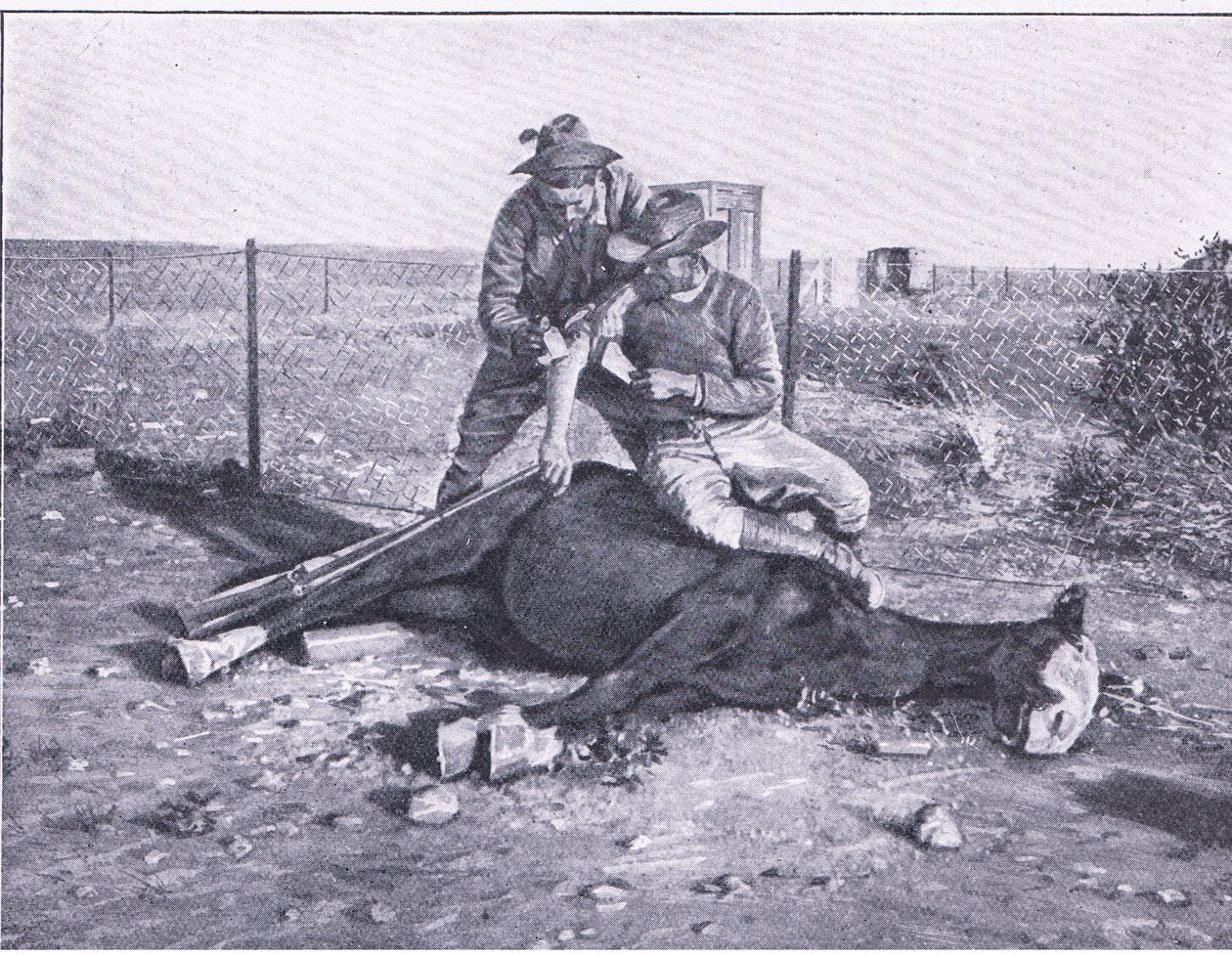 Ucu ucuna kaçmak. Harmsworth Bros Limited tarafından yayınlanan After Pretoria: The Guerilla War