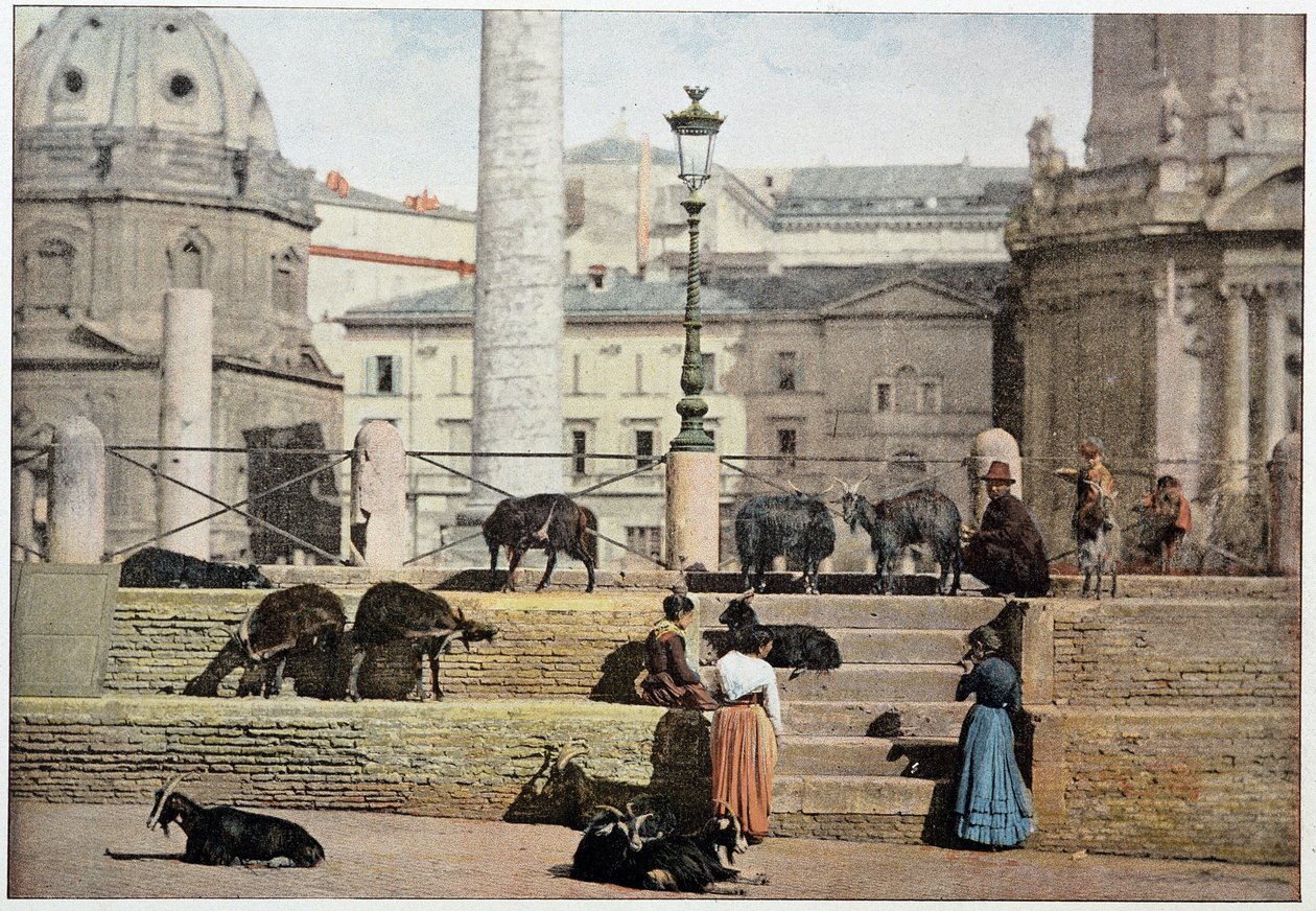 Antik Roma: Roma Forumu
