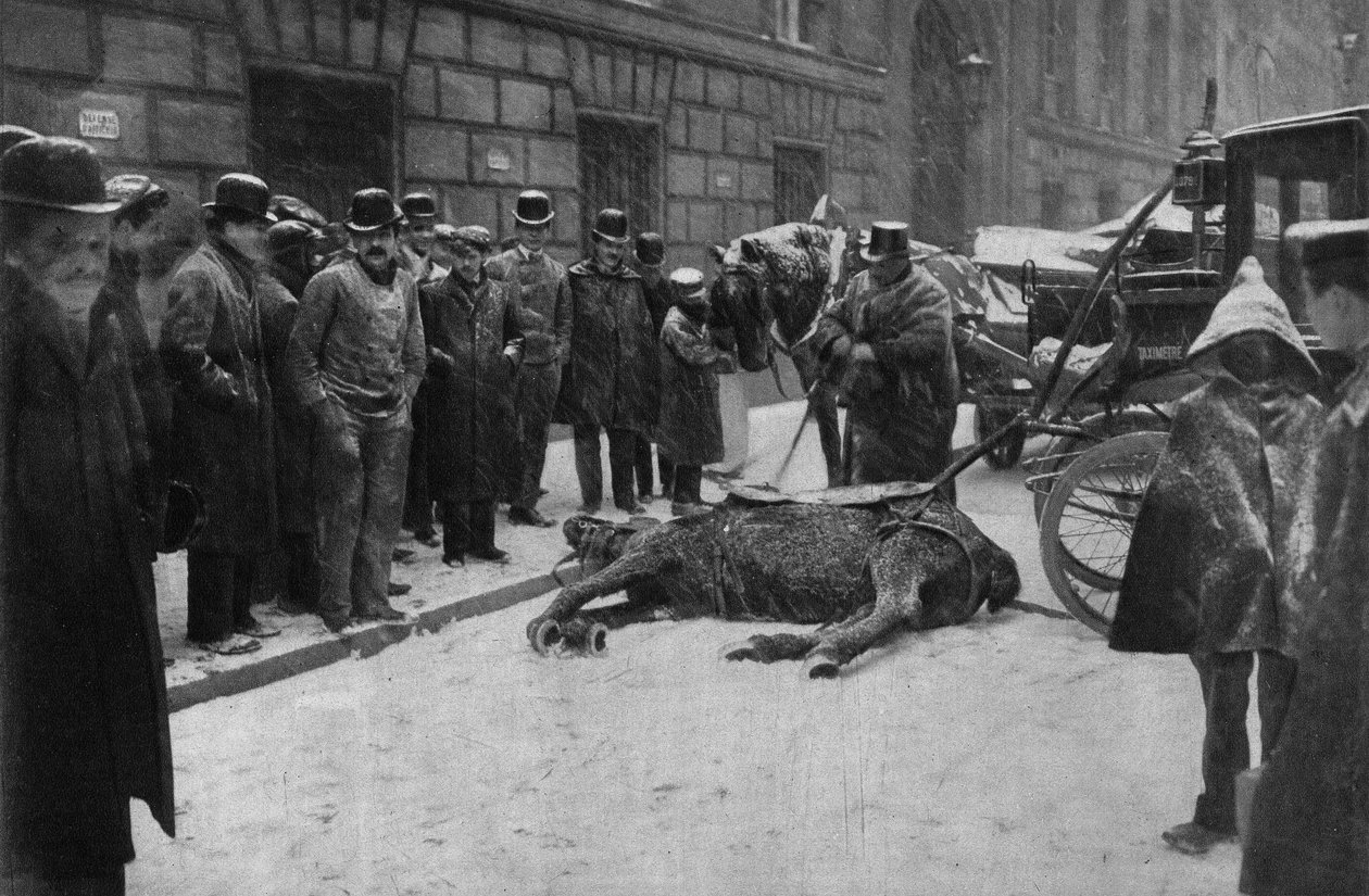 Paris sokaklarında bir çift atın ölümü. Fotoğraf, 19. yüzyıl sonu, Paris. Kol. Selva. by Unknown photographer