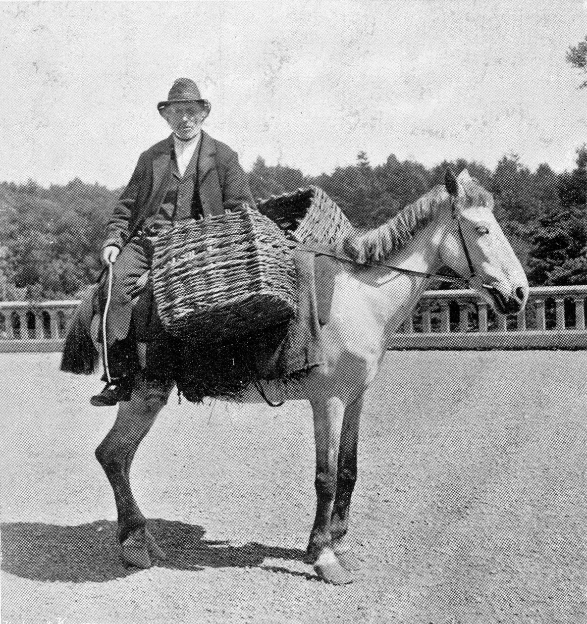 Atında İrlandalı adam (19. yüzyıl). by Unknown photographer