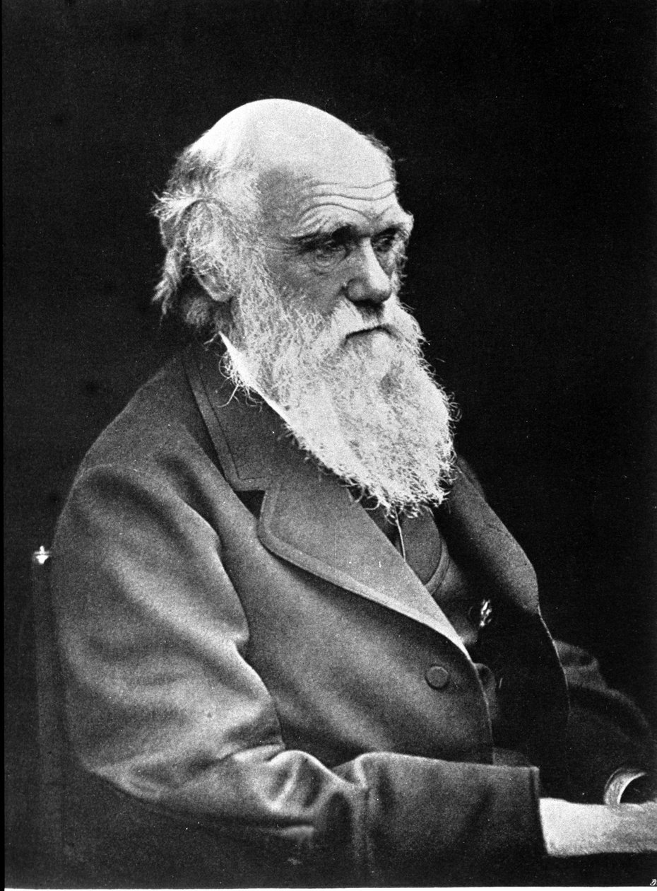 İngiliz doğa bilimci Charles Darwin