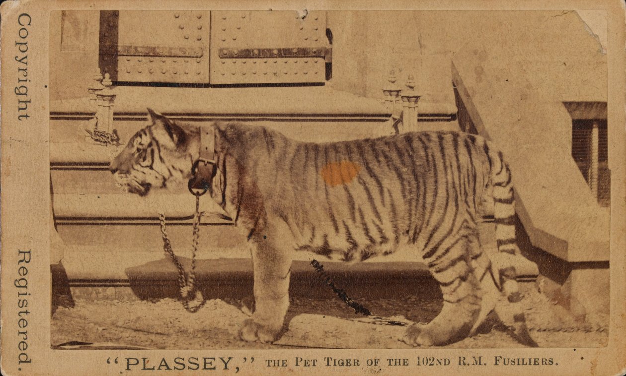 Royal Madras Fusiliers