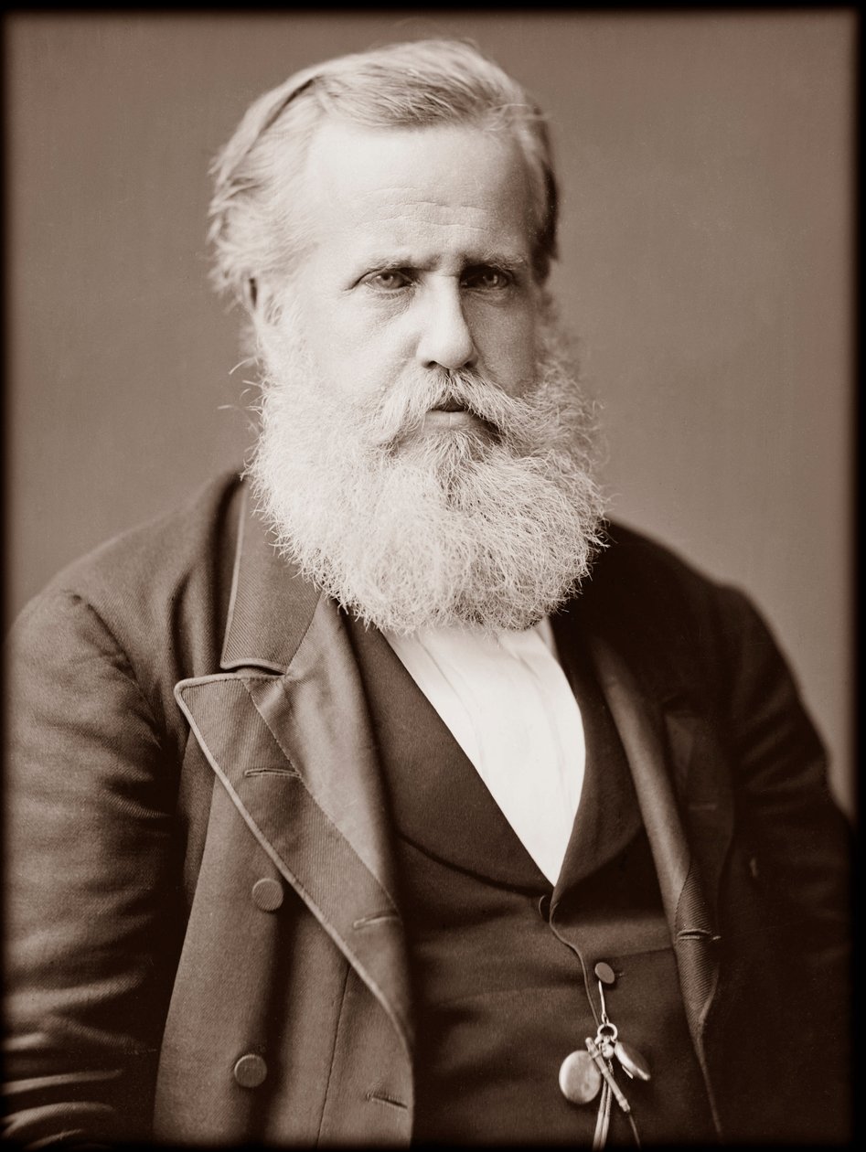 Dom Pedro II (Peter II) (Peter II) (Dom Pedro de Alcantara) (1825-1891), Brezilya İmparatoru