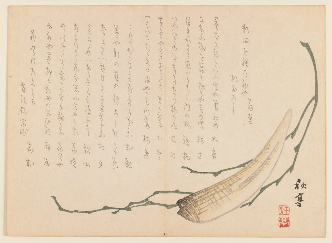 Deniz yosunu ve kabuklu deniz ürünleri (tahta baskı) by Uragami Gyokudo