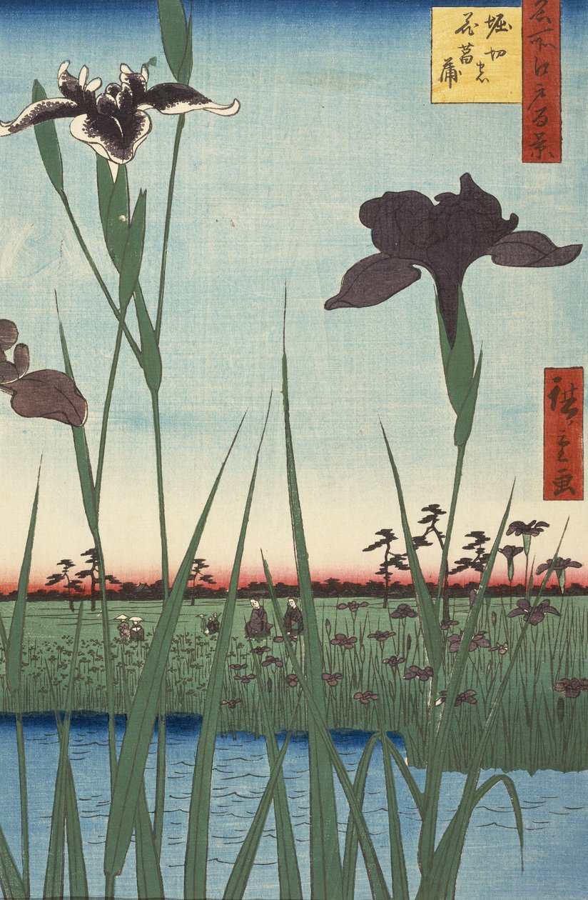 Horikiri Iri s is rden (Horikiri no Hana shbu), serinin one fun dre d famo s ゔ yews of f ed (mei sh. by Utagawa Hiroshige