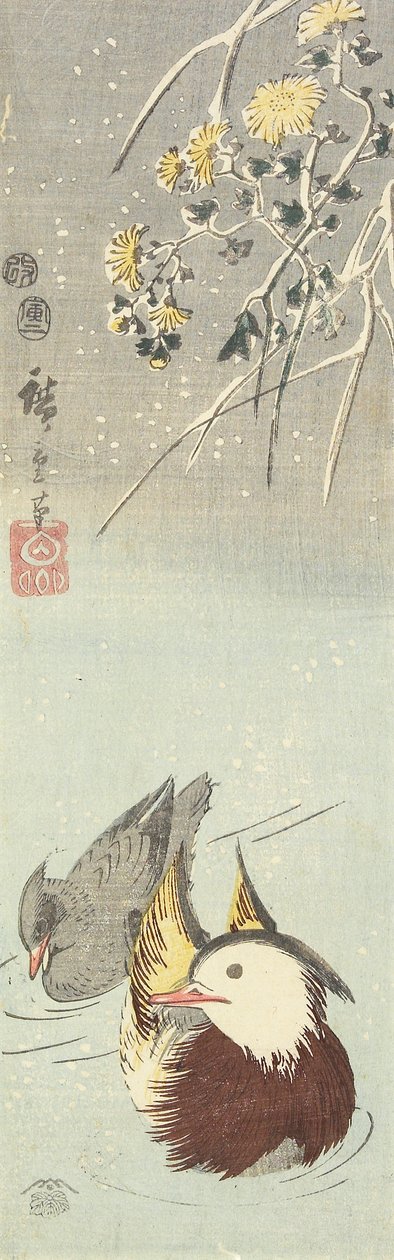 (Krizantem ve Mandarin Ördekleri), Şubat 1854 by Utagawa Hiroshige