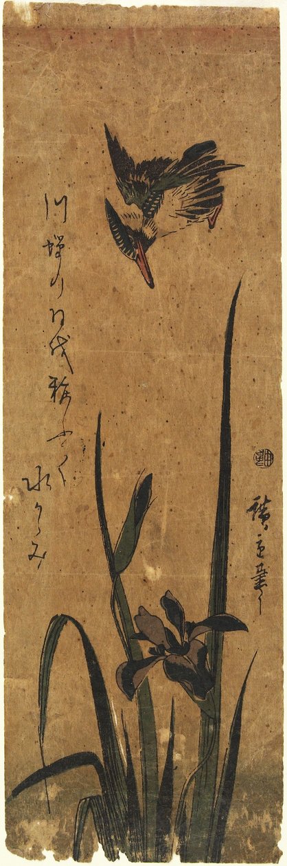 (Iris and Kingfisher), 1830-1858 by Utagawa Hiroshige