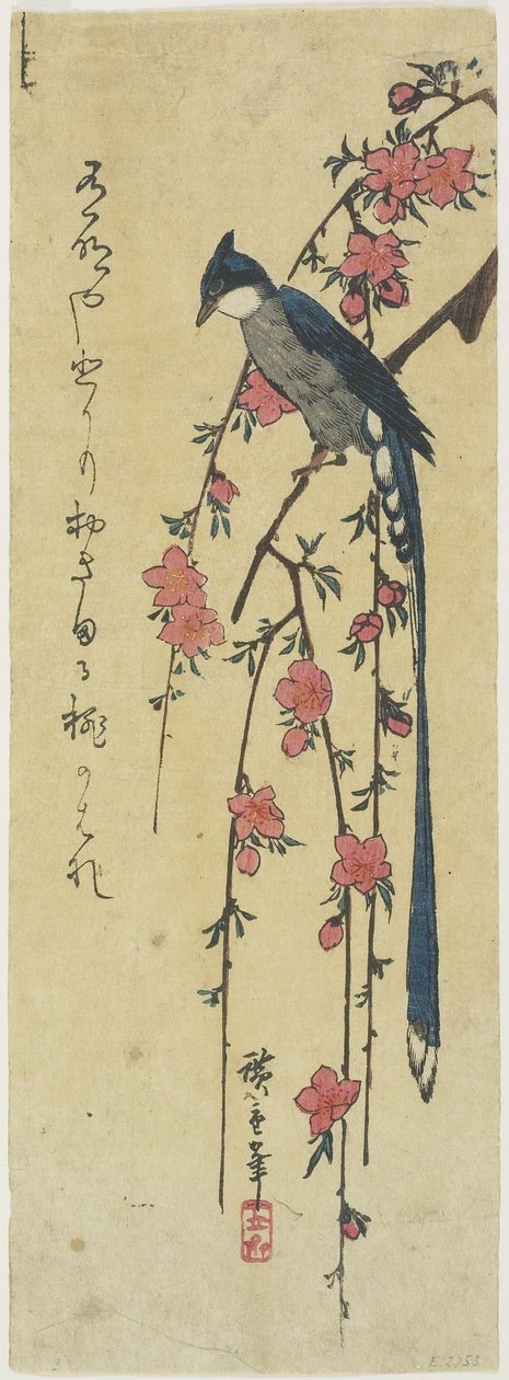 (Düşen Kiraz Ağacında Uzun Kuyruklu Horoz) by Utagawa Hiroshige