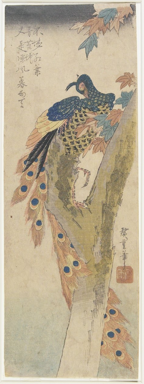 (Akçaağaçta Tavuskuşu), 19. yüzyılın başlarında by Utagawa Hiroshige