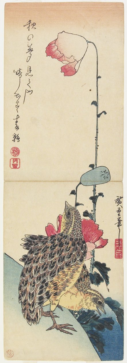 (Bıldırcın ve Haşhaş), 1830-1858 by Utagawa Hiroshige