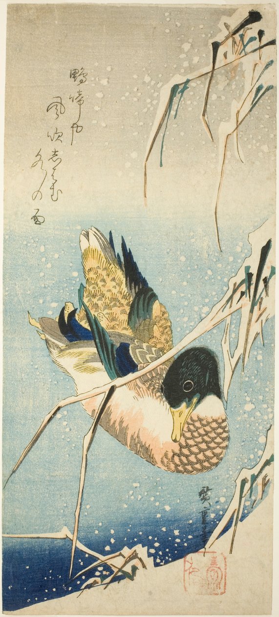 Karla Kaplı Sazların Altında Karla Kaplı Bir Bankanın Yanında Yüzen Bir Yaban Ördeği by Utagawa Hiroshige