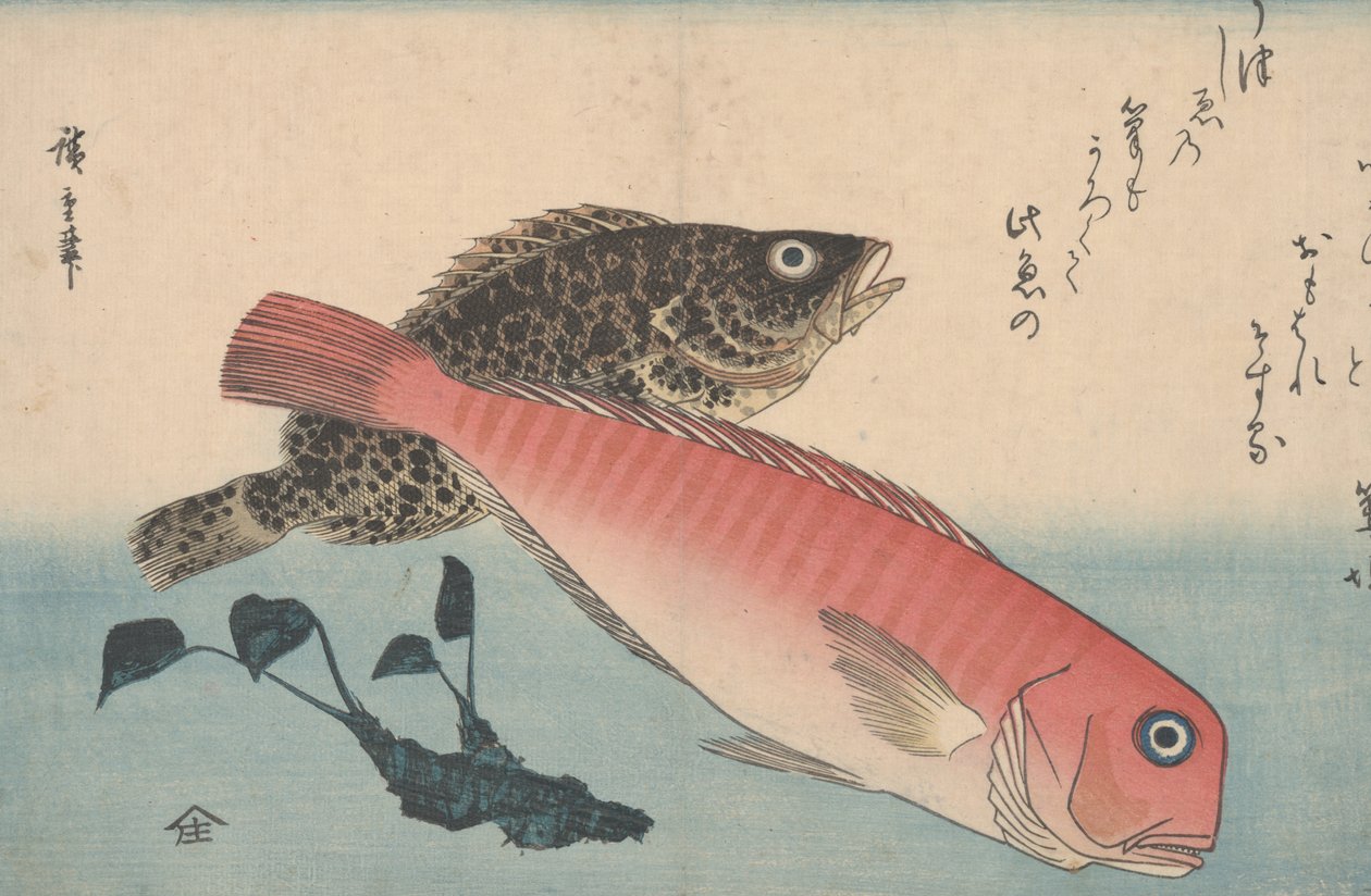 Çini balığı, kaya balığı ve wasabi kökü by Utagawa Hiroshige