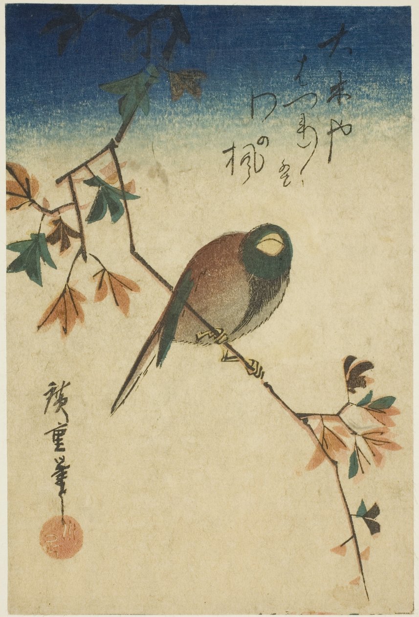 Akçaağaç dalı üzerinde kuş by Utagawa Hiroshige