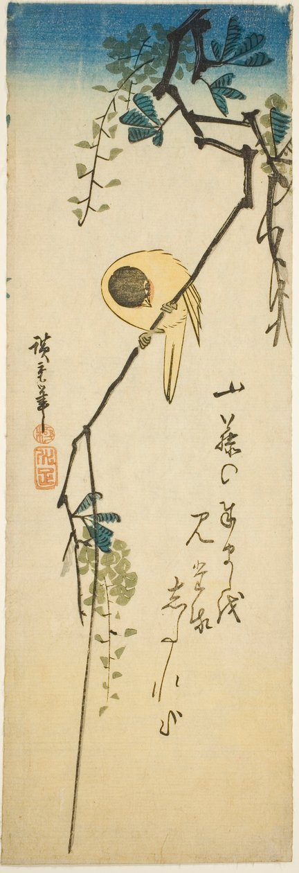 İpeksi wisteria üzerinde kuş by Utagawa Hiroshige