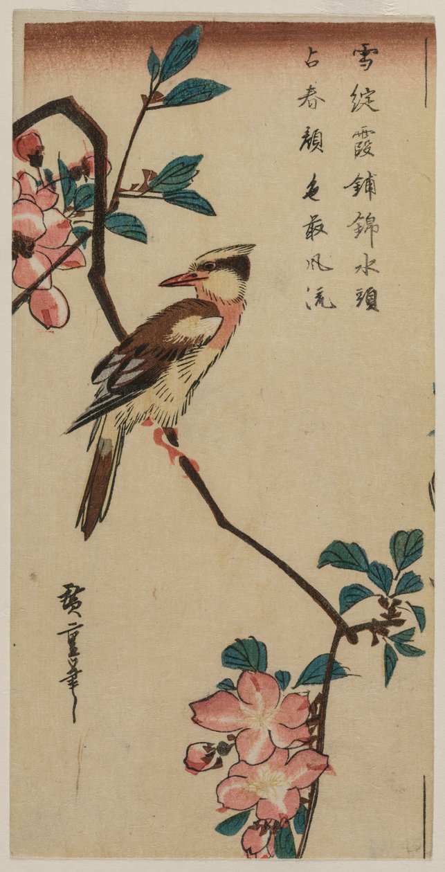 Bir Hall Crabapple üzerinde Kara Naped Oriole (Kore Ötleğen) by Utagawa Hiroshige