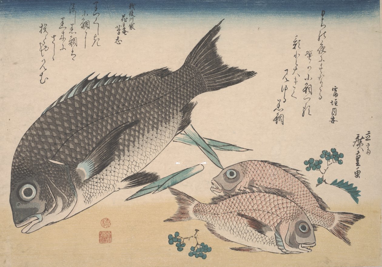 Çipura, Çipura, Kuşkonmaz Sürgünleri ve Sansho Pepper, c.1830 by Utagawa Hiroshige