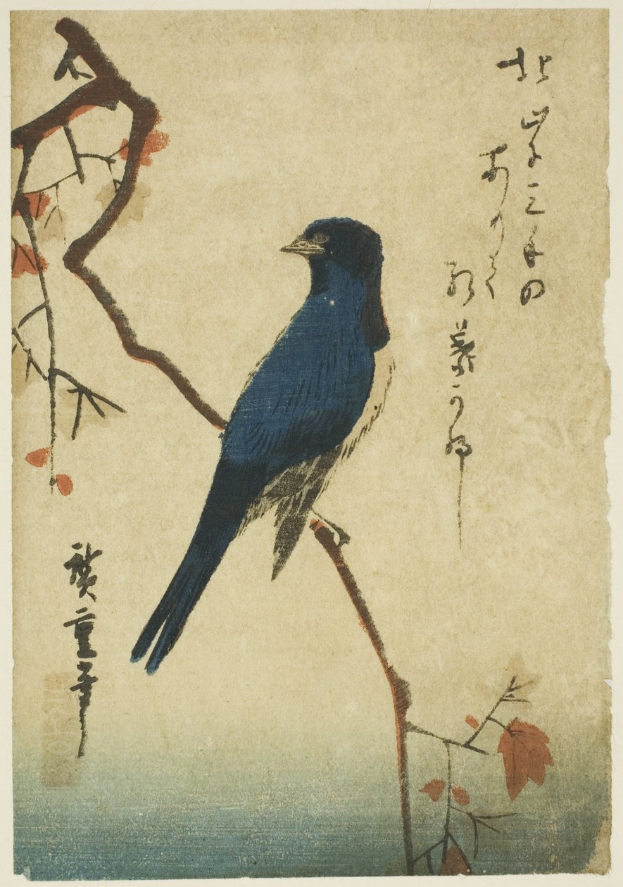 Akçaağaç dalı üzerinde mavi kuş by Utagawa Hiroshige