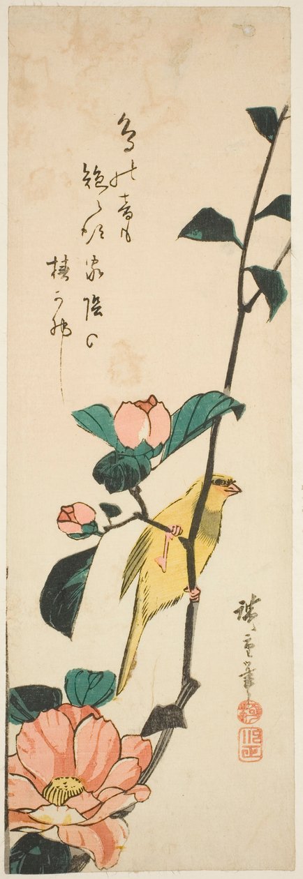 Kanarya ve kamelyalar by Utagawa Hiroshige