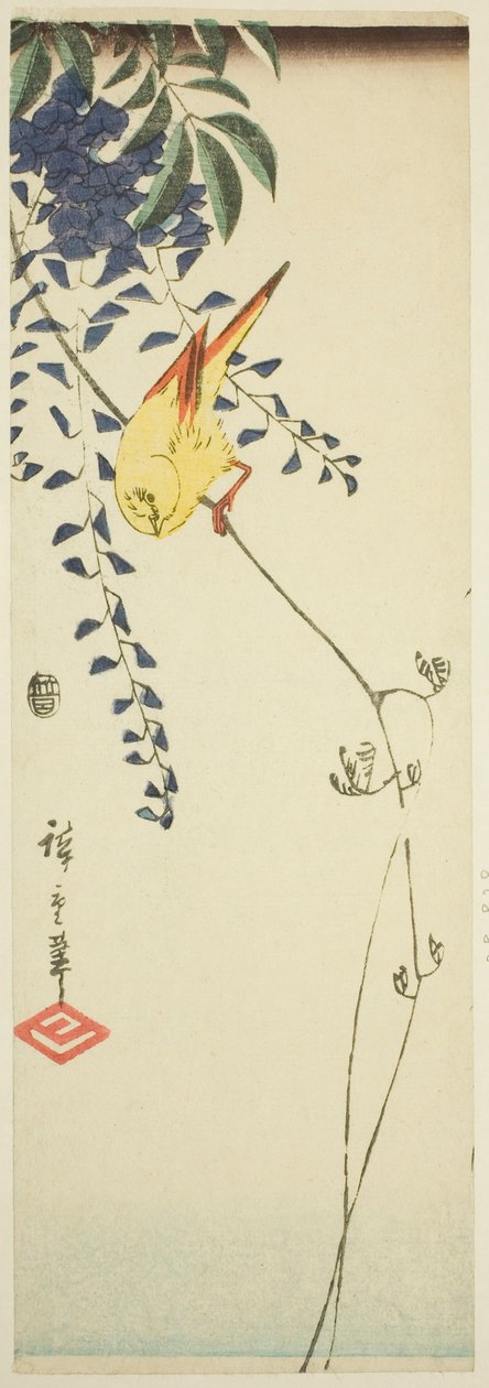 Kanarya ve wisteria by Utagawa Hiroshige