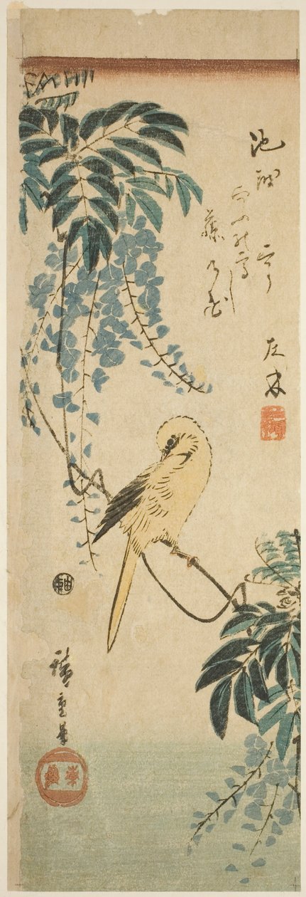 Kanarya ve wisteria by Utagawa Hiroshige