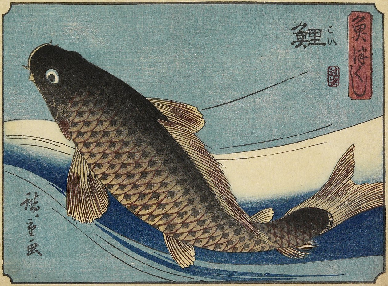 ಕಾರ್ಪ್, 1830-1844 ಟರ್ಕ್ by Utagawa Hiroshige