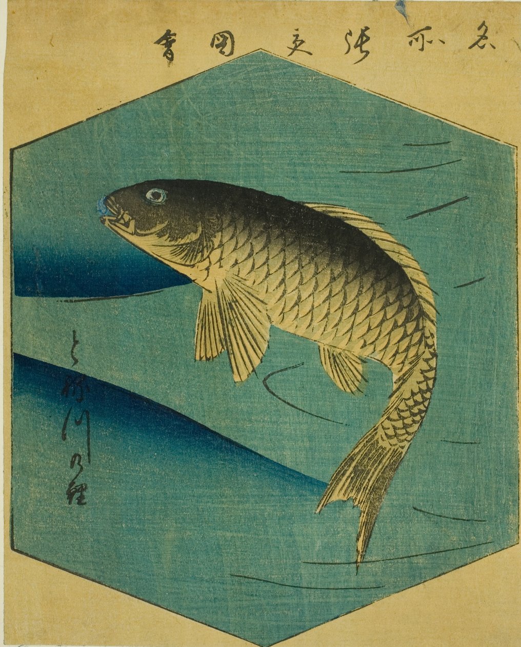 Tone Nehrinde Sazan (Tonegawa no koi), "Edo