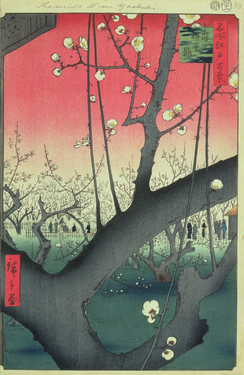 Edo