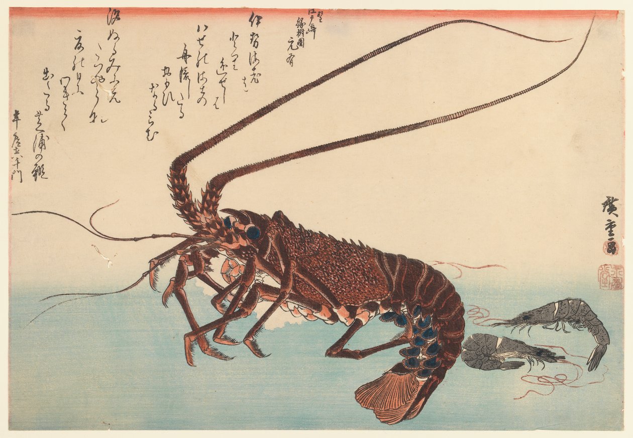 Great Fish serisinden kerevit ve iki karides (1832