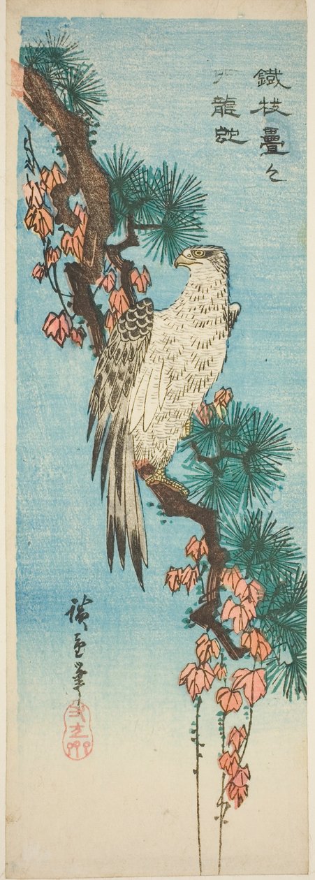 Sarmaşık kaplı çam dalı üzerinde şahin by Utagawa Hiroshige
