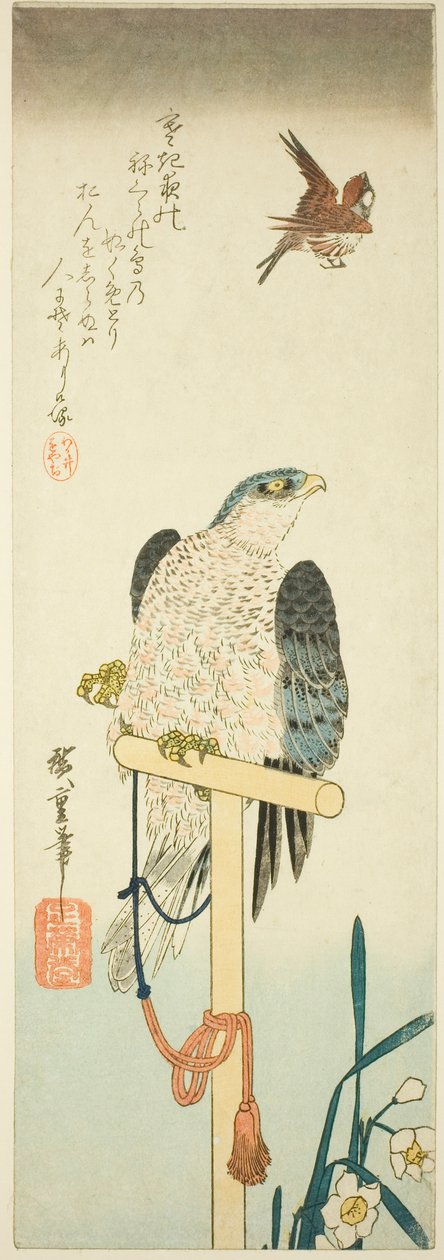 Şahin, serçe ve nergis by Utagawa Hiroshige