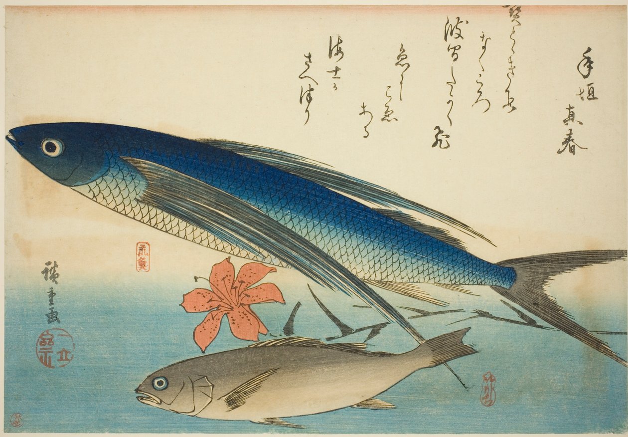 İsimsiz bir balık serisinden uçan balık ve Ichimochi by Utagawa Hiroshige