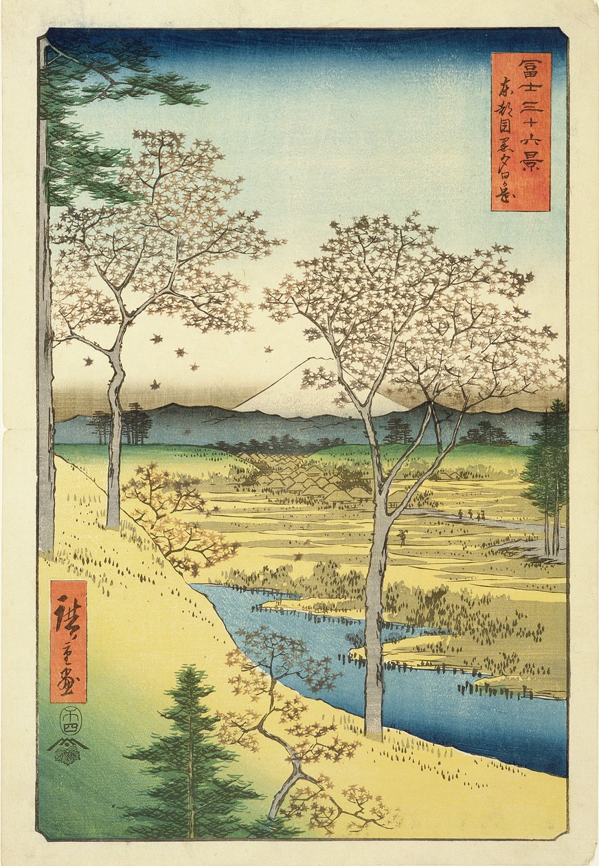 Fuji from Yuhi-Ga, Megwo, No.10 from the series 
