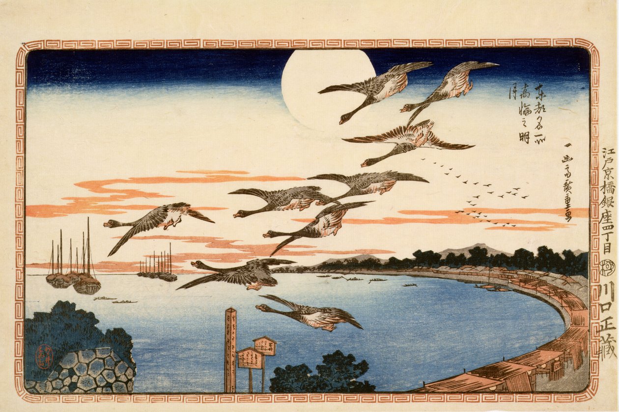 Edo