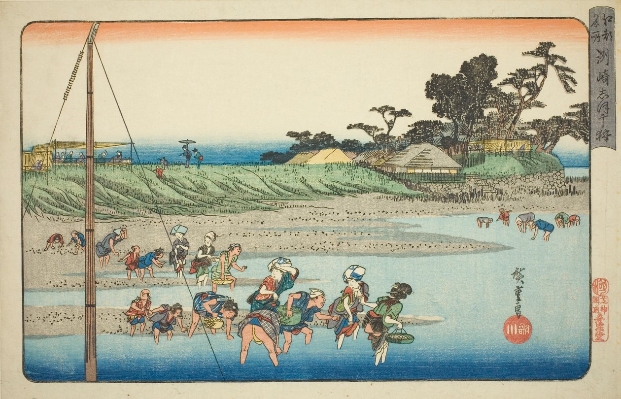 "Edo