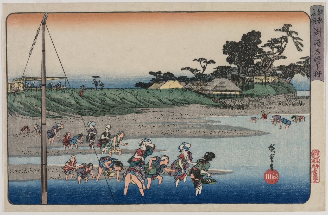 Edo